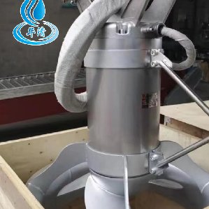 持久耐用 細(xì)菌池潛水?dāng)嚢铏C